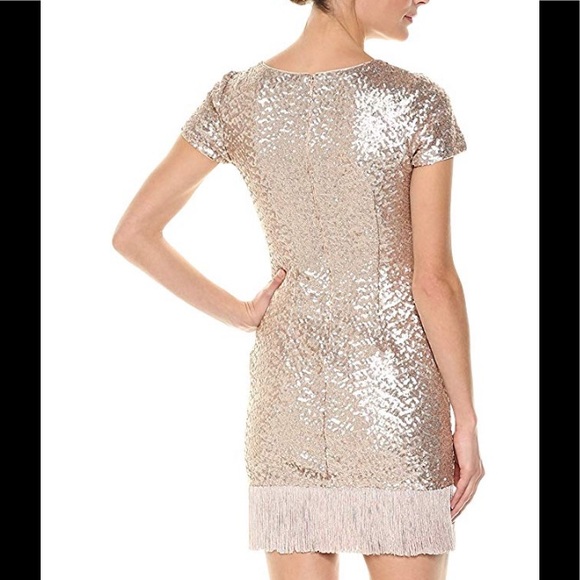 !Aidan Mattox champagne sequin sheath with fringe - Picture 2 of 8